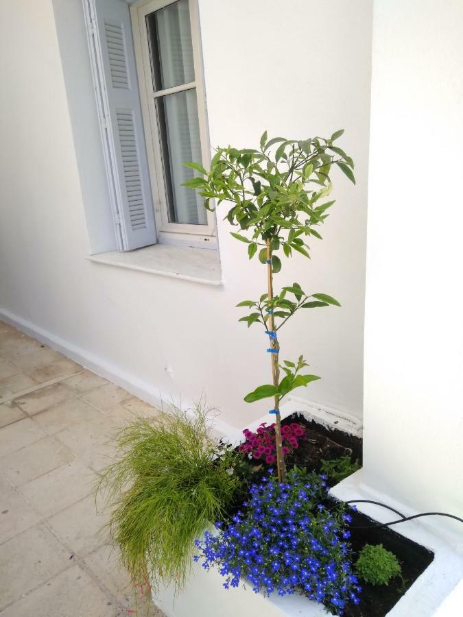 Zacharoula'S Home Chrissi Akti Chania Exterior foto