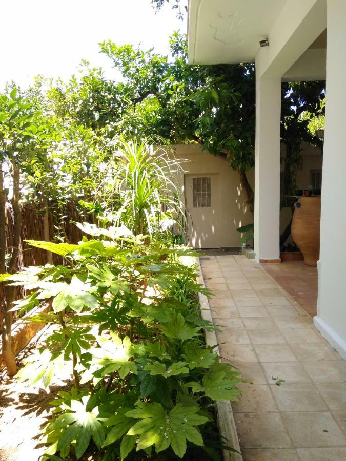 Zacharoula'S Home Chrissi Akti Chania Exterior foto